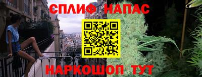 молекула духа Можайск