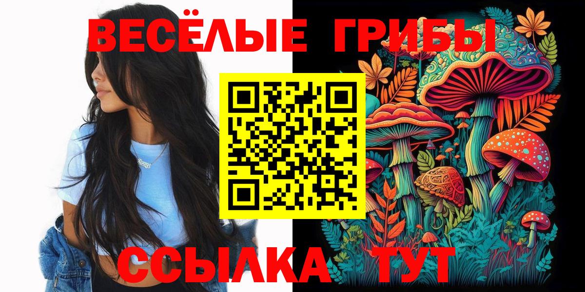 Вольск  Псилоцибиновые грибы MAGIC MUSHROOMS  Вход с VPN 
