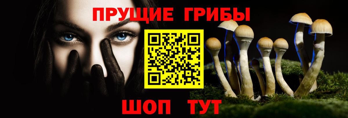 Псилоцибиновые грибы мицелий Вольск